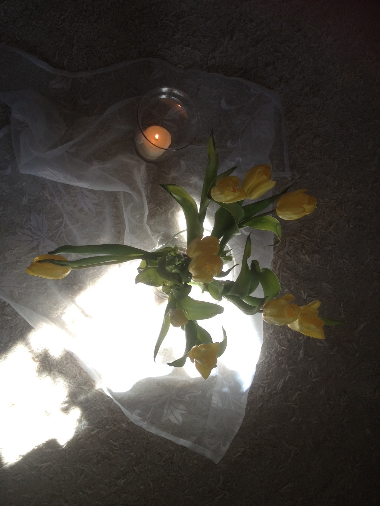 Kurs der Hospizinitiative