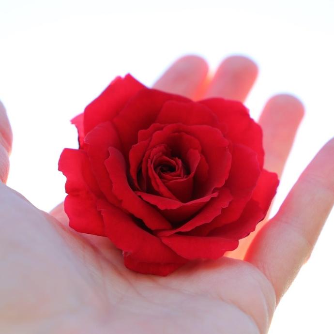 Romantisierung von assistiertem Suizid