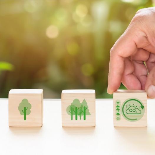 Über 80 katholische Führungspersonen fordern konsequenten Klimaschutz